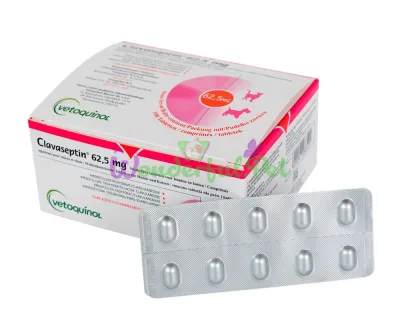 Препарат Vetoquinol Clavaseptin 62,5 мг №10