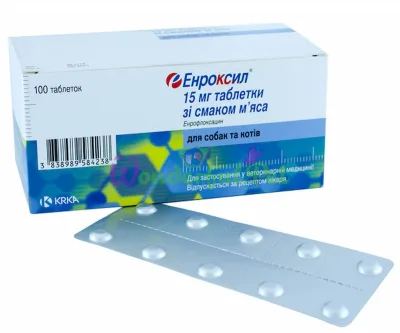 KRKA Enroxil 15 mg Tablets №10