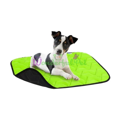 AiryVest Dog Mat Size S 55x40 cm, Light Green/Black