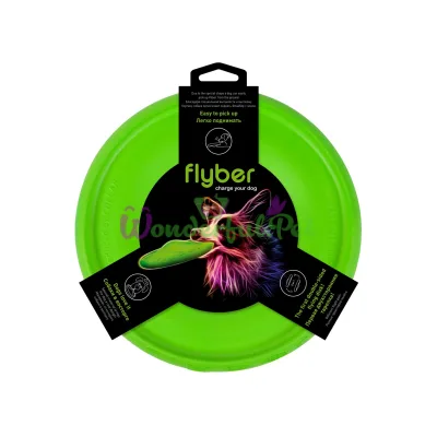 Літаюча тарілка Collar FLYBER Зелений 22 см