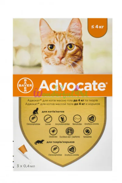 Bayer Advocate Cat Drops up to 4 kg