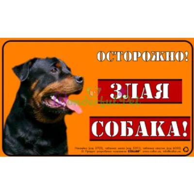 Табличка Collar Осторожно! Злая собака! Ротвейлер цвет