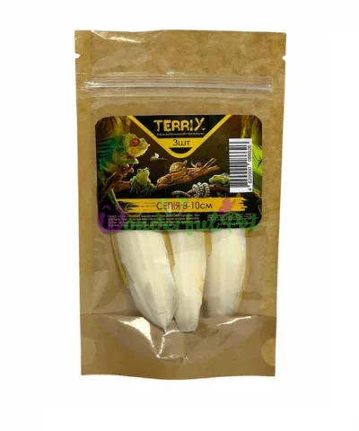Сепія TerriX 8-10 см 3 шт
