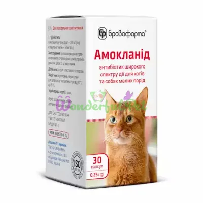 Капсули БРОВАФАРМА Амокланід 250 мг №30