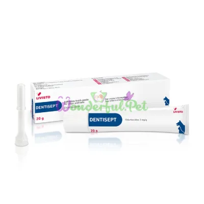 Livisto Dentisept Toothpaste 20 g