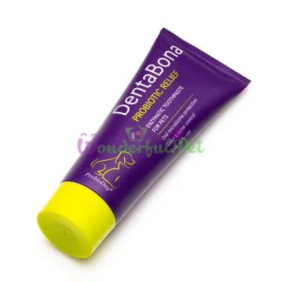 ProbioDay DentaBona Enzymatic Probiotic Toothpaste 90 g