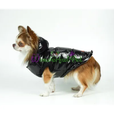 Жилет Dogs Bomba Black лак №4