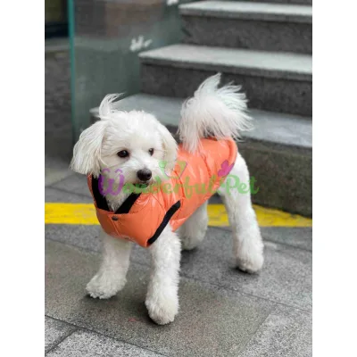 Жилет Dogs Bomba Orange лак №11