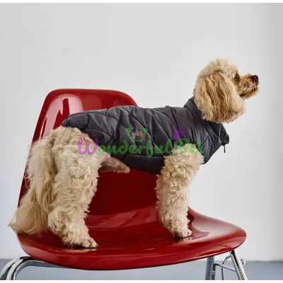 Жилет Dogs Bomba Puffed vest Grafit №2