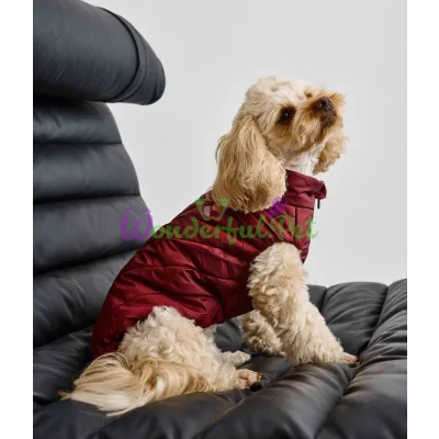 Жилет Dogs Bomba Puffed vest Marsala №3