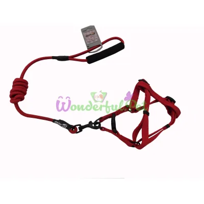 Комплект шлея с поводком AnimAll для животных M 1 x 120 см красный