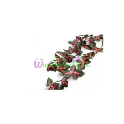 Искусственное растение Repti-Zoo Fitonia TP005 40 см