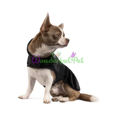 Попона для собак Pet Fashion Blanket XS черный