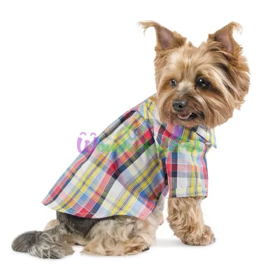 Рубашка для собак Pet Fashion Бадди S