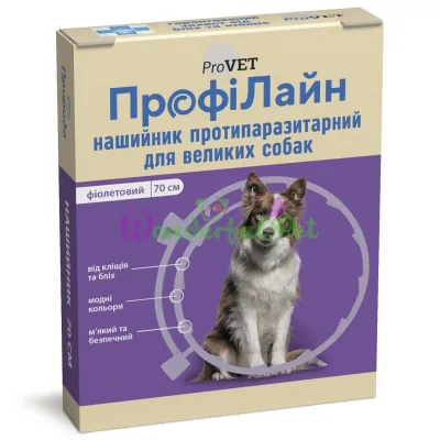 ProVET ProfiLine Collar for Dogs Violet 70 cm
