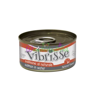 Конc. для кот. VIBRISSE лосось у влас.соку, 70г