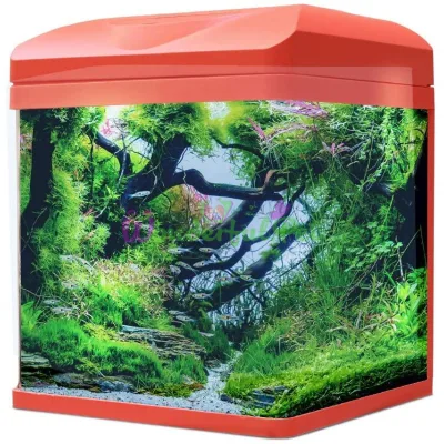 Аквариум AMTRA LAGUNA 30 LED CORAL. Коралловый 18 л 30x23.5x34.5. Стекло 4 мм