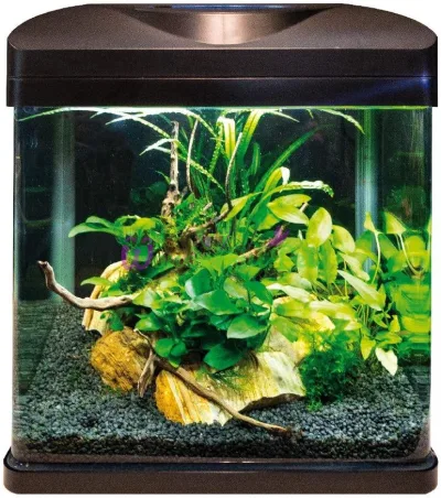 Аквариум AMTRA LAGUNA 30 LED. Черный 30x23.5x34.5 см Стекло 4 мм
