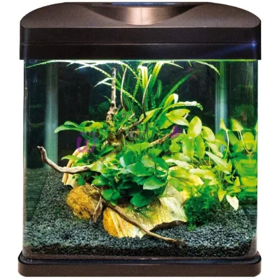 Аквариум AMTRA LAGUNA 30 LED. Черный 30x23.5x34.5 см Стекло 4 мм