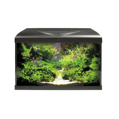 Аквариум AMTRA SYSTEM 60 LED BLACK 60 литров фильтр, помпа 480 л ч, нагр-ль 100 Вт, LED 3 цвета