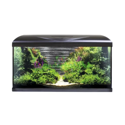 Аквариум AMTRA SYSTEM 80 LED BLACK 85 литров фильтр, помпа 520 л ч, нагр-ль 100 Вт, LED, фон камни
