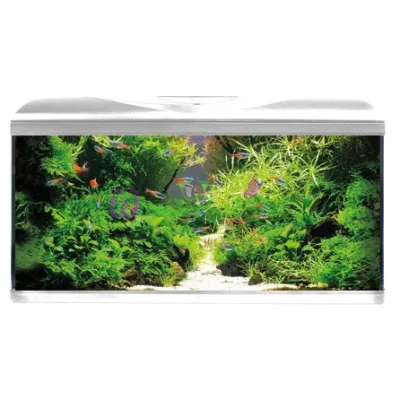 Аквариум AMTRA SYSTEM 80 LED WHITE 85 литров фильтр, помпа 520 л ч, нагр-ль 100 Вт, LED 3 цвета