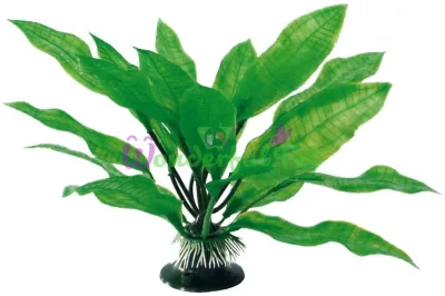 Рослина ECHINODORUS, штучна., 23см