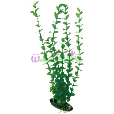 Рослина ROTALA CLASSIC LG, штучна., 23см