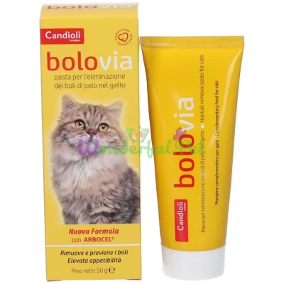 Паста Candioli Bolo Via 50 г